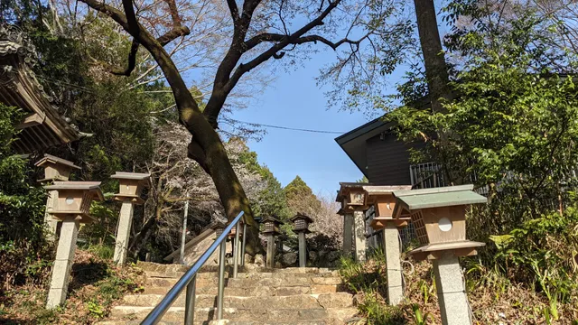 photo-1