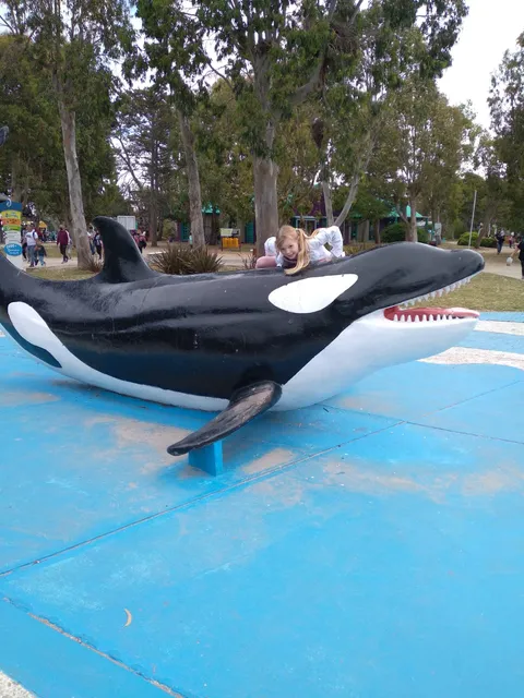 Safari Terrestre Mundo Marino