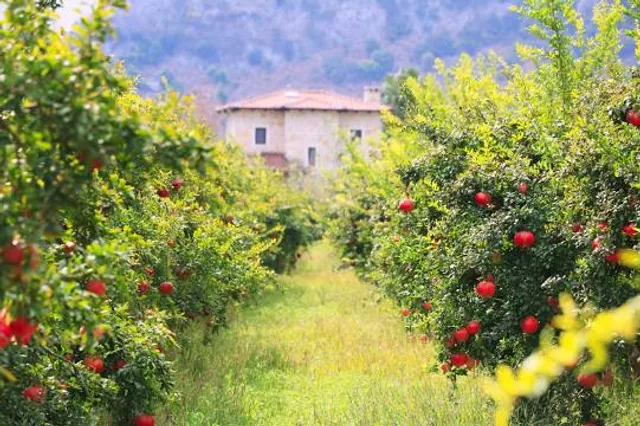 Parco di Archeologia Industriale