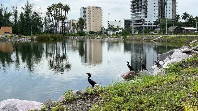 Mazatlán Central Park