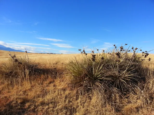 Bluestem Prairie Open Space