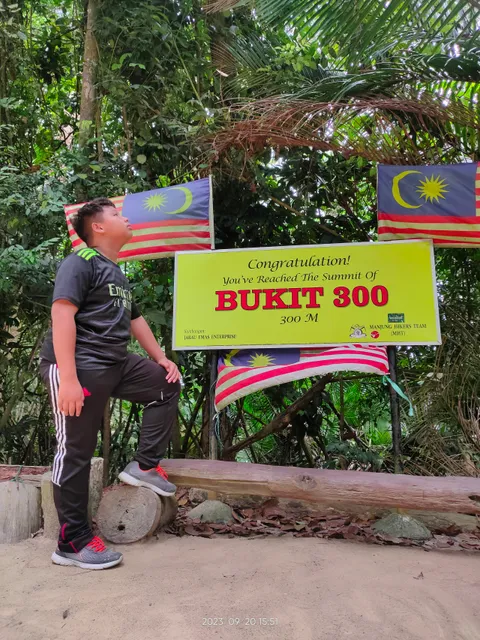 Puncak Bukit 300