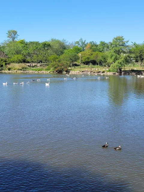 Laguna de los Patos