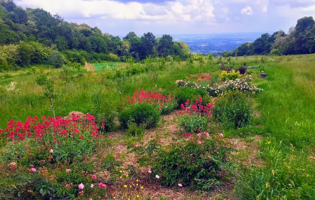 viridarium lab-garden
