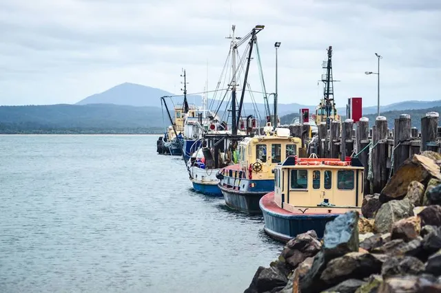 Eden Lookout and Rotary Park