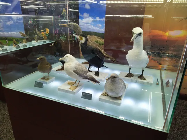 Natuurmuseum En Zee-Aquarium