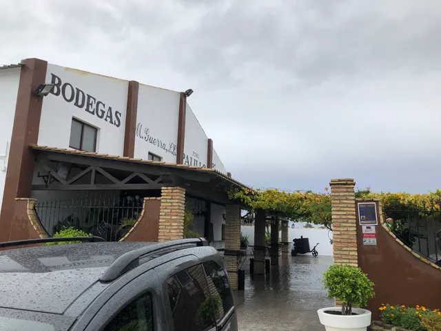 Bodegas Miguel Guerra