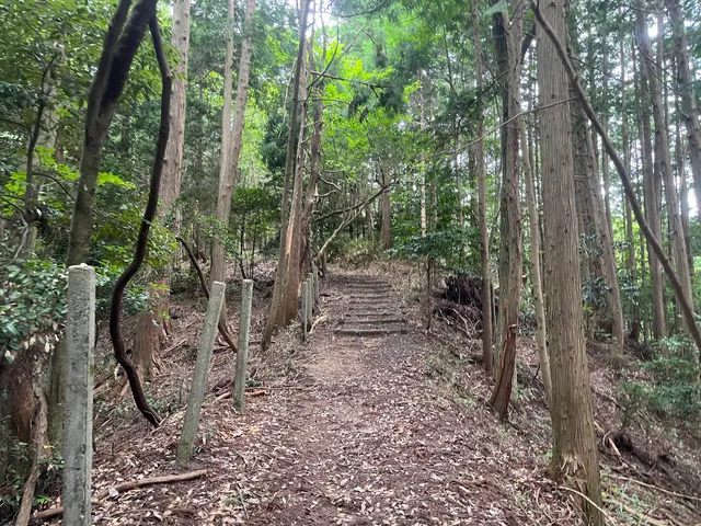Tama-jo Castle Ruins