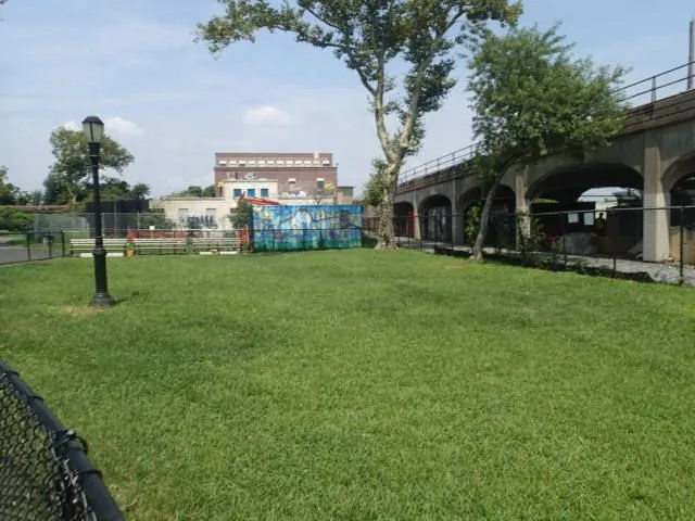 photo-2