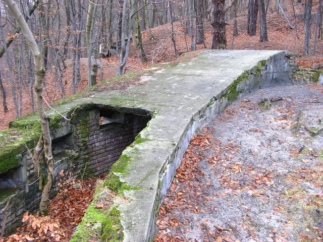 Брюховицький форт