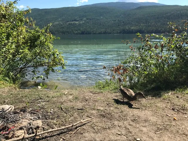 White Lake Provincial Park