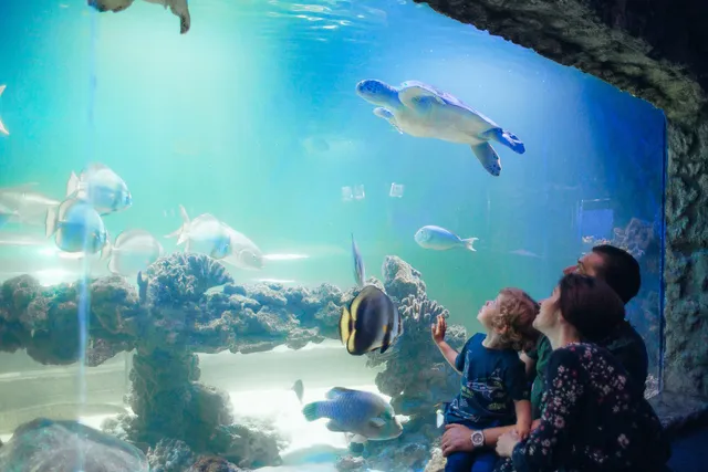 The Oceanarium «Sea Fairy Tale»