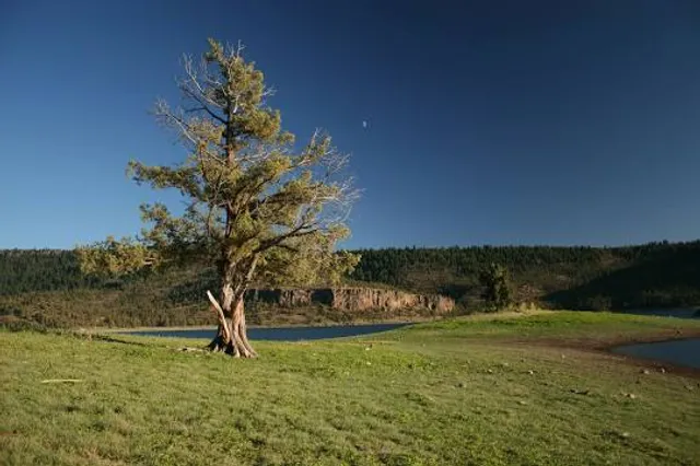 Crooked River Wetlands Complex