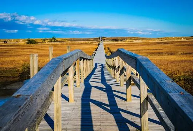 Sandwich Boardwalk