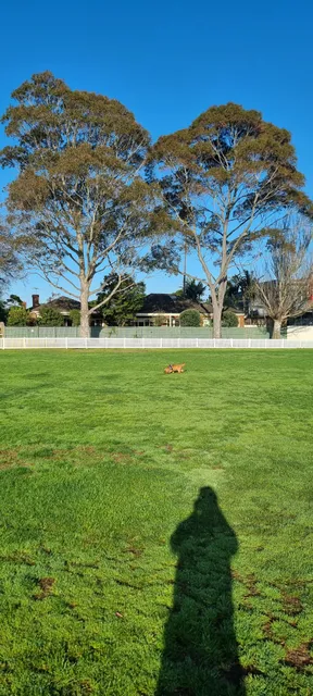 William Street Reserve
