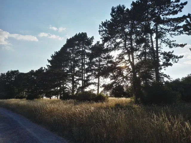 Brachenleite bei Tauberbischofsheim Nature Reserve