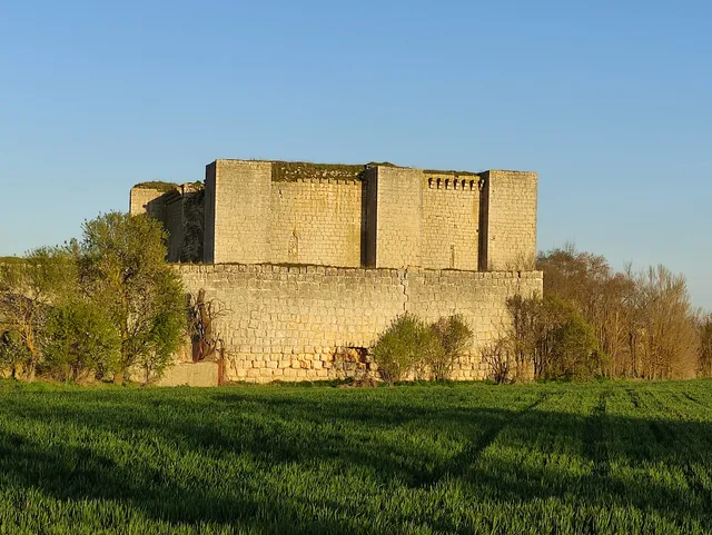 Castillo de Alfonso Téllez de Meneses (s. XIII - XV) (en ruinas)
