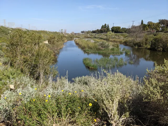 Dominguez Gap Wetlands