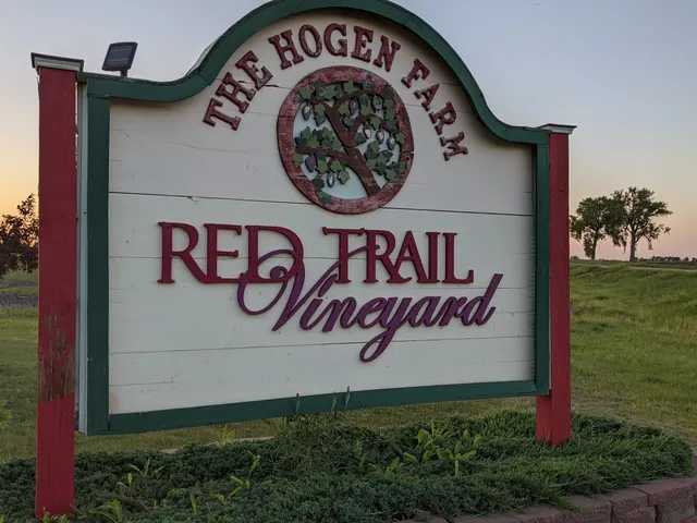 Viking Vines Vineyard