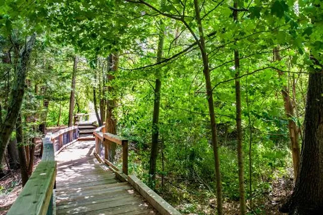Toogood Pond Park
