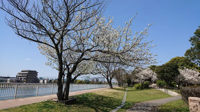 Showajima Minami-ryokudo Park