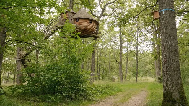 Forêt-Parc de Vittel