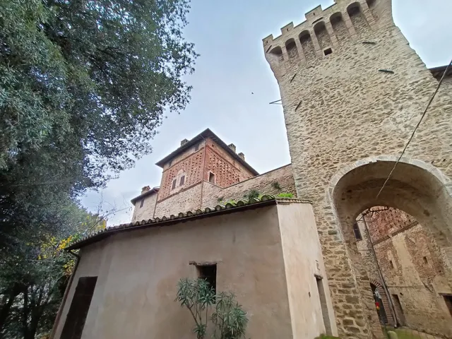 photo-1