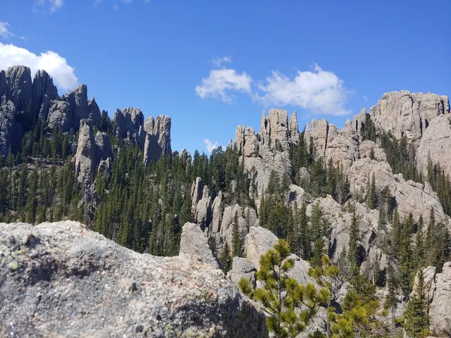 Black Elk Wilderness
