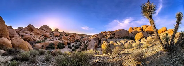 Joshua Tree National Park