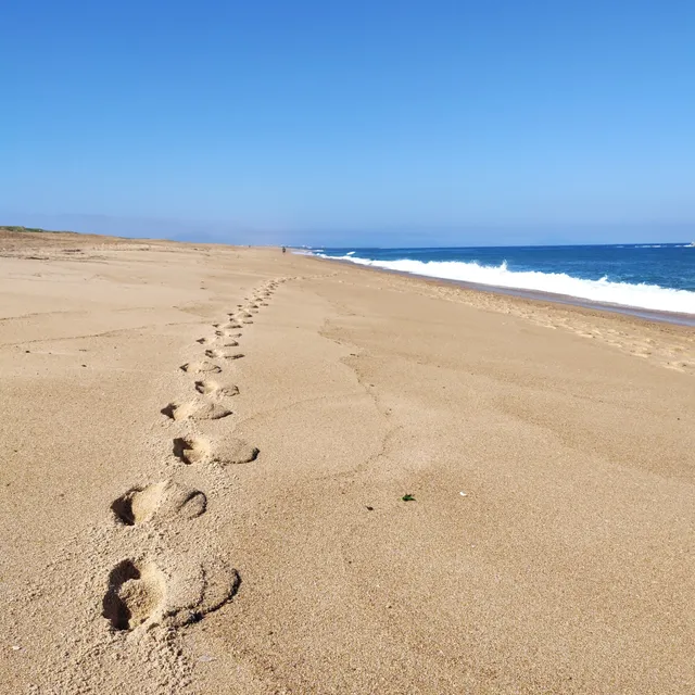 Plage Naturiste d’Ondres