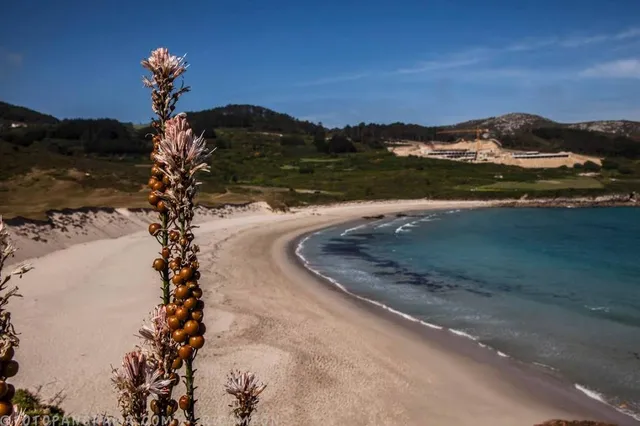 Playa de Lourido