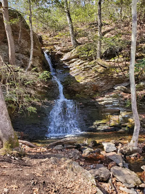 Sprague Land Preserve