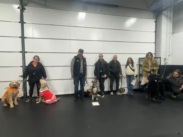 K9 Mania Dog Training