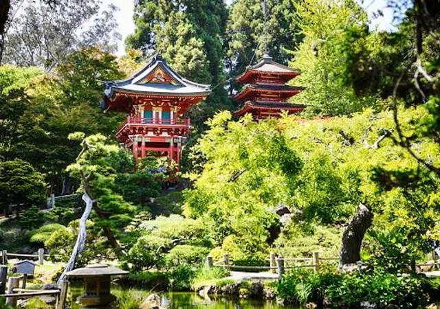 Japanese Tea Garden