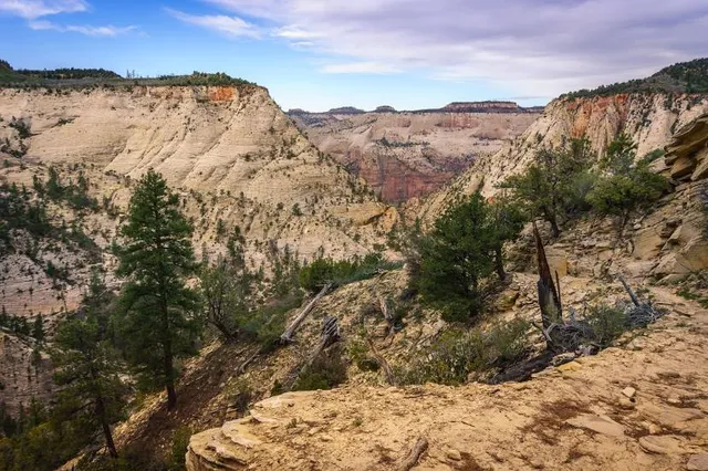 East Rim Trail