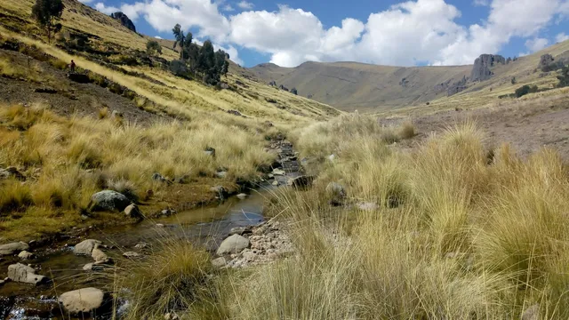 Cerro Khapía Reserve