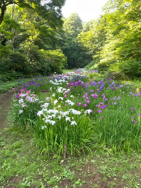 Meiji Jingu Gyoen
