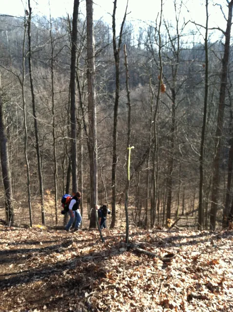 Zaleski State Forest Backpack Trailhead Parking: Selinde Roosenburg Memorial Backpack Trail