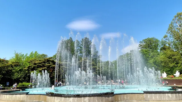 Musical Fountain