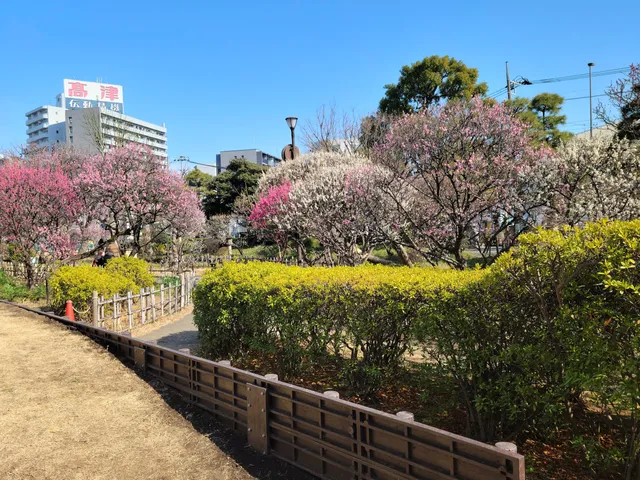 Seiseki Kamata Umeyashiki Park