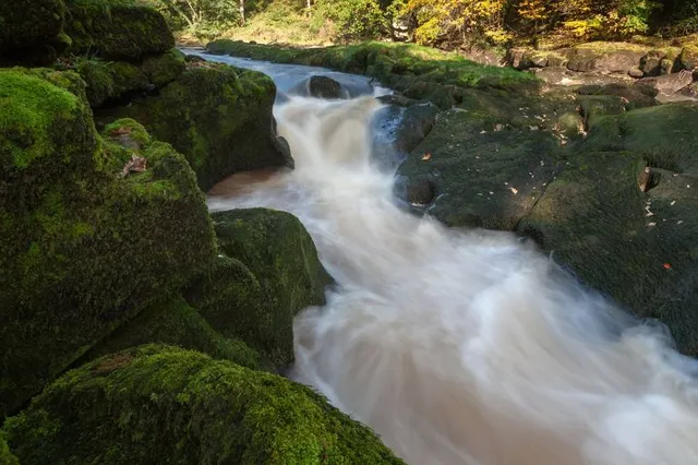 The Strid