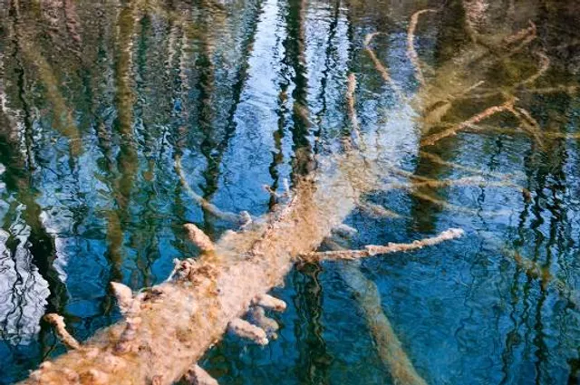 Hagerstown City Park