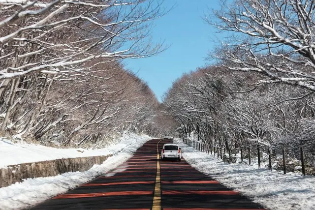 Eoseungsaengak Trail