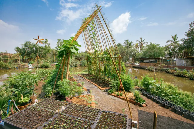 เซฟติสท์ ฟาร์ม - SAFETist Farm