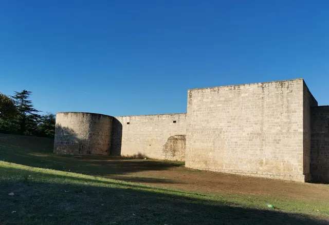 Château de Négrepelisse