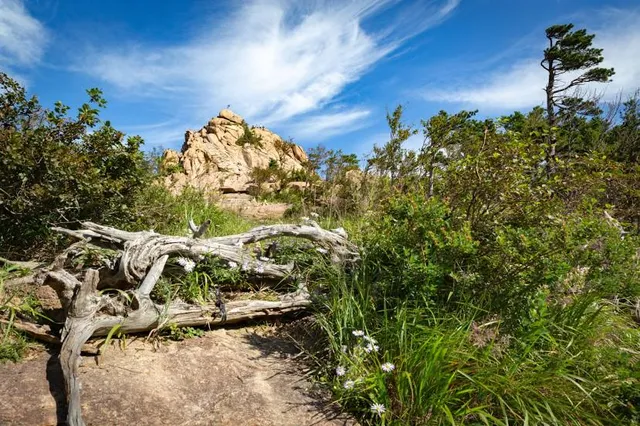 Gwon Geum Seong Fortress