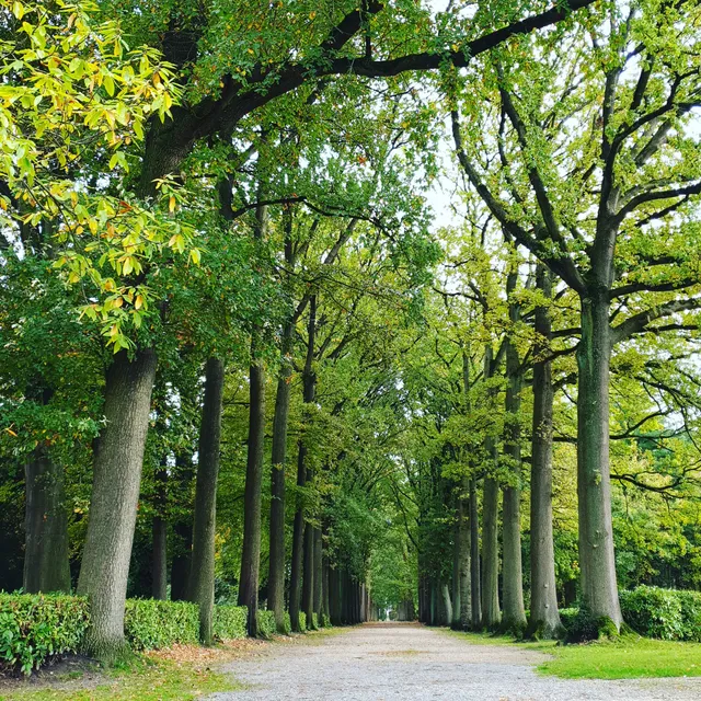 Domein Franciscanessen