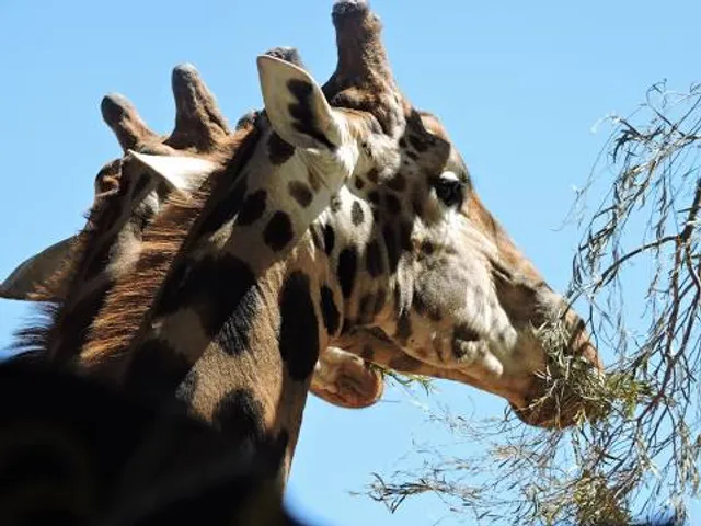 Altina Wildlife Park