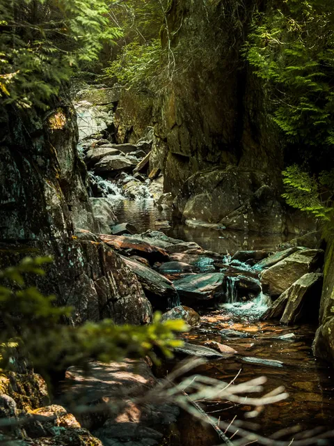 Rangeley Lakes Heritage Trust