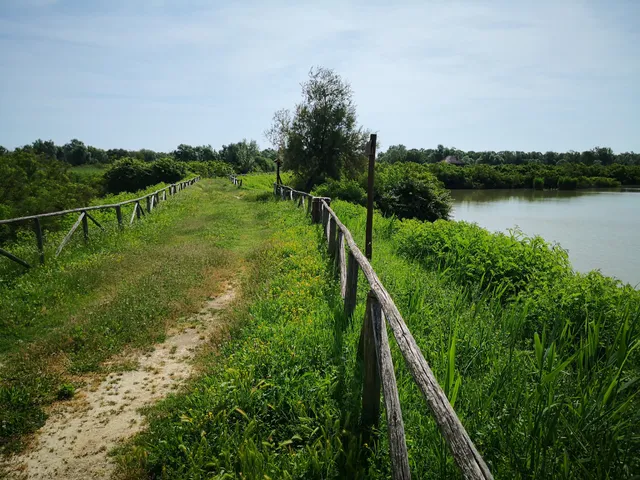 Oasi Golena di Ca' Pisani